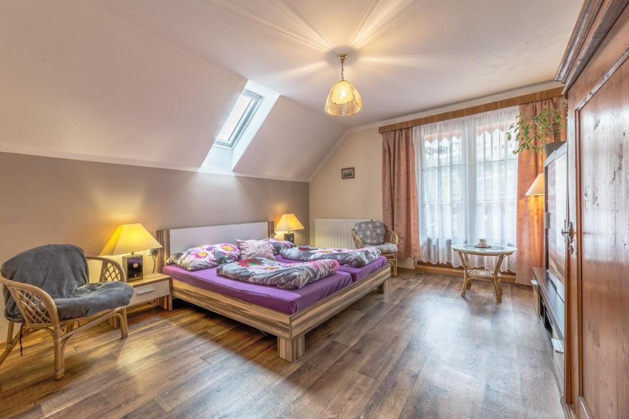 Penzion Na Hradcanech Nové Město nad Metují Εξωτερικό φωτογραφία