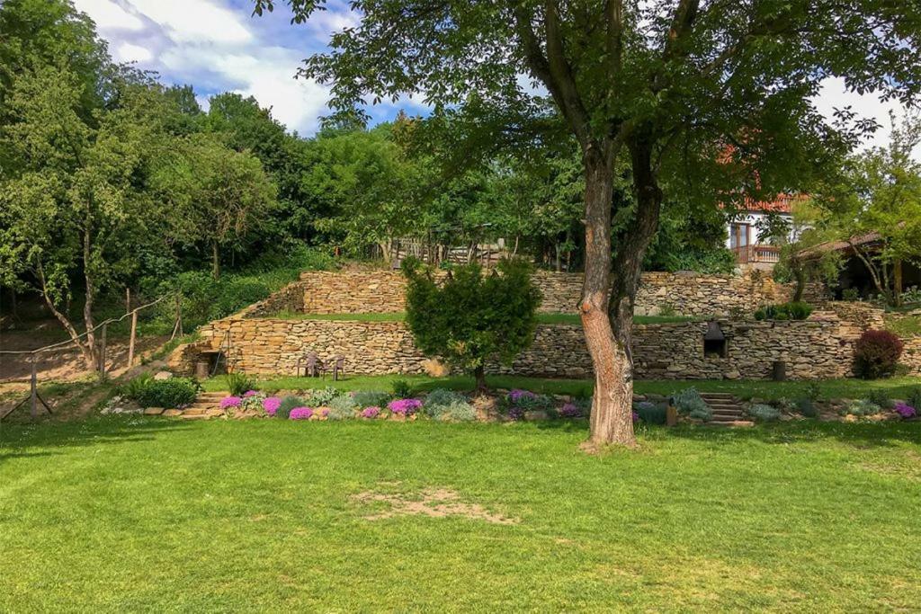Penzion Na Hradcanech Nové Město nad Metují Εξωτερικό φωτογραφία